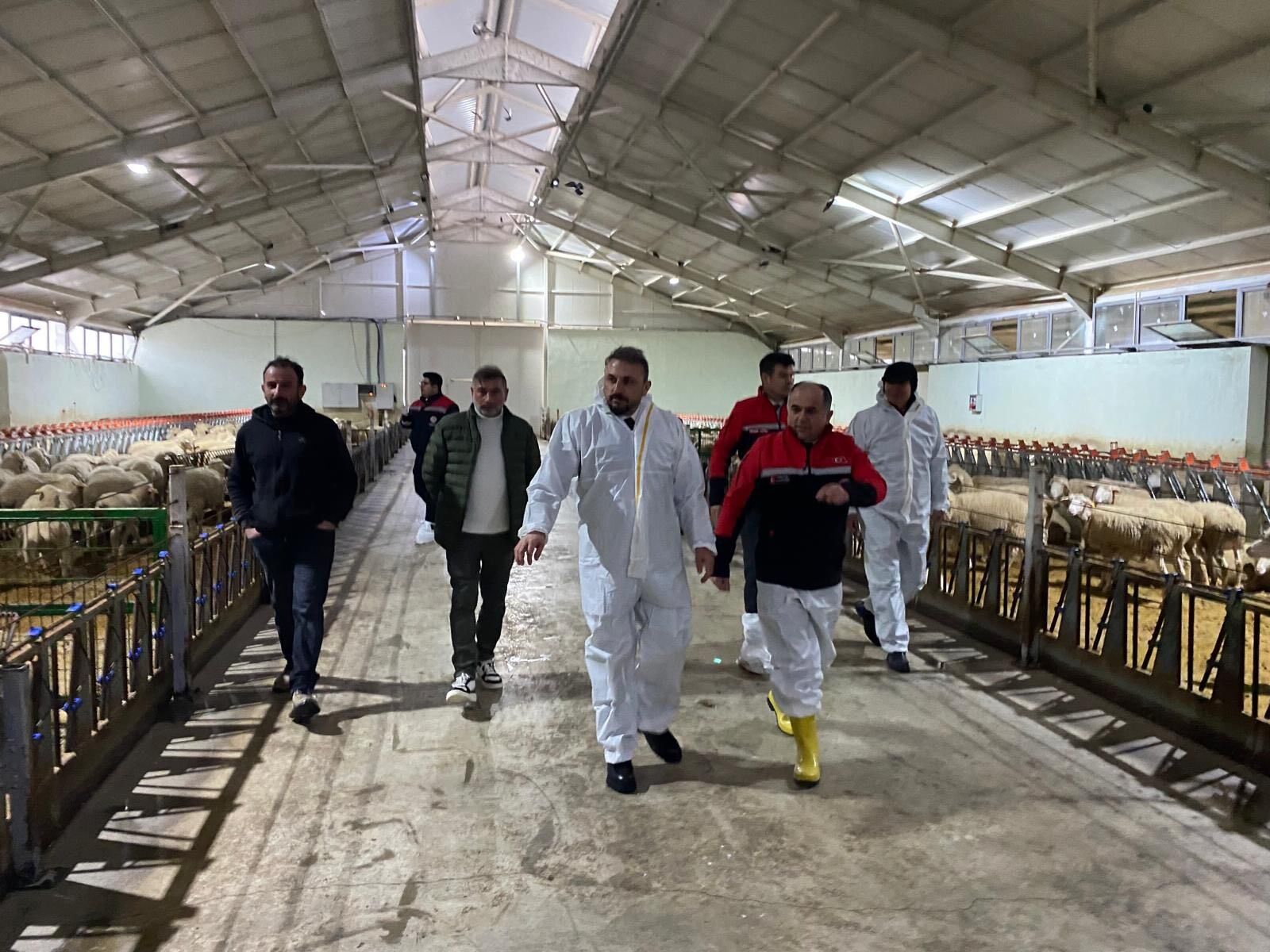 3721C7Bf 49A5 441E Aeab 03Aa487E45Db