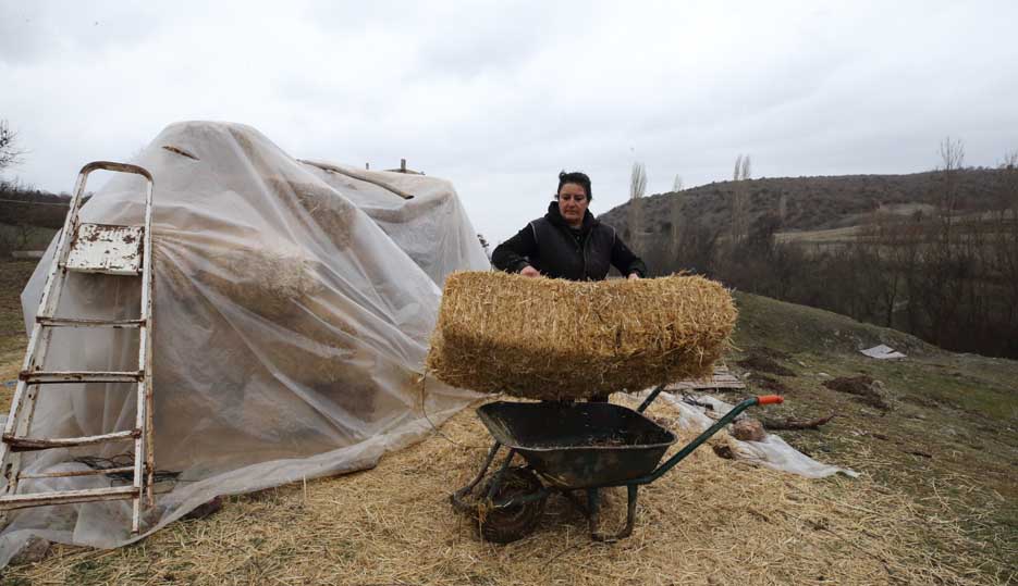 A A 20260221 40628748 40628732 S E H I R H A Y A T I N D A N S I K I L I P K O Y U N E D O N E N K A D I N H A Y V A N C I L I G A B A S L A D I