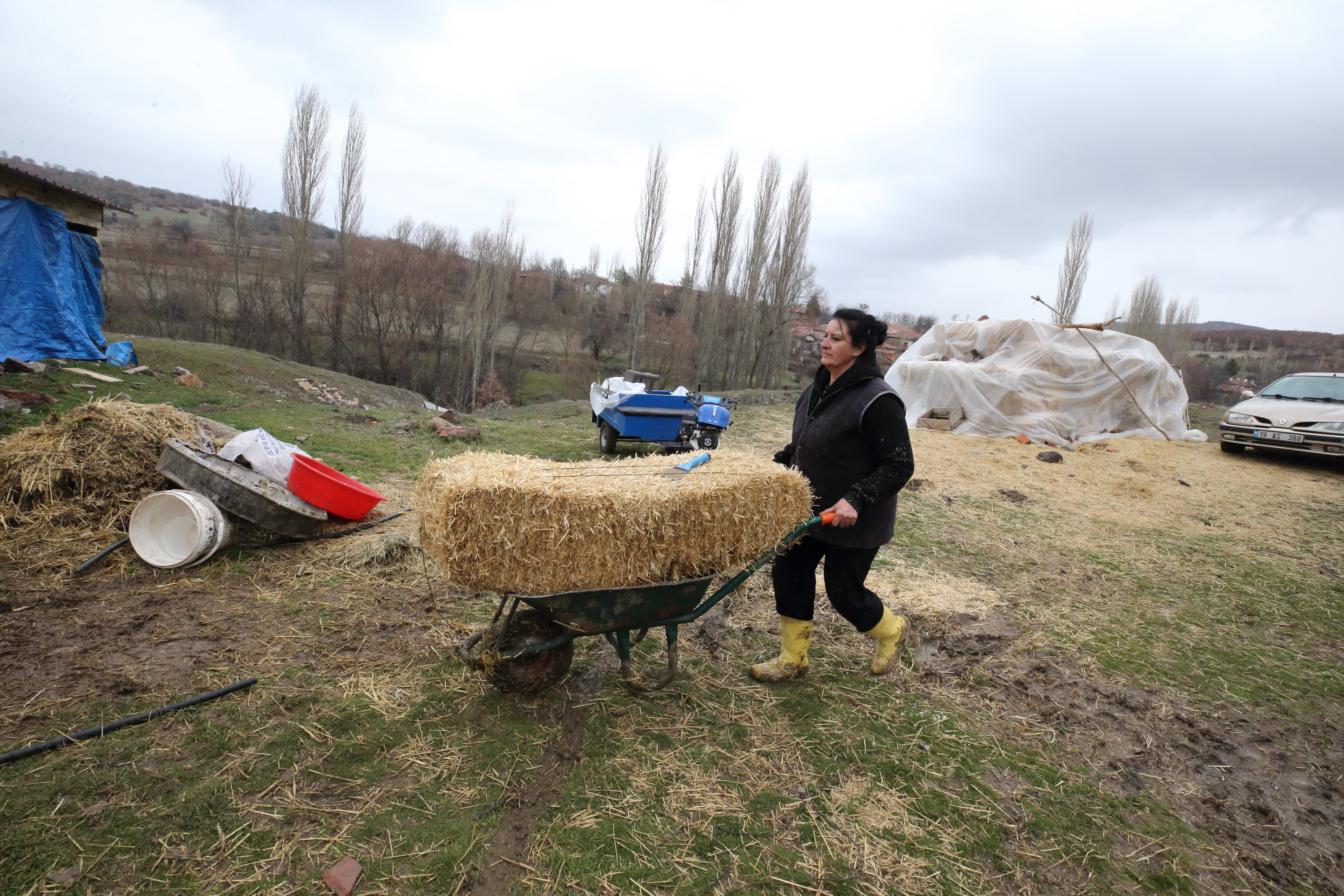 A A 20260221 40628748 40628733 S E H I R H A Y A T I N D A N S I K I L I P K O Y U N E D O N E N K A D I N H A Y V A N C I L I G A B A S L A D I