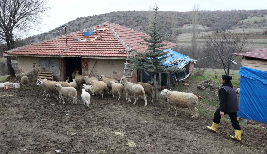 A A 20260221 40628748 40628738 S E H I R H A Y A T I N D A N S I K I L I P K O Y U N E D O N E N K A D I N H A Y V A N C I L I G A B A S L A D I