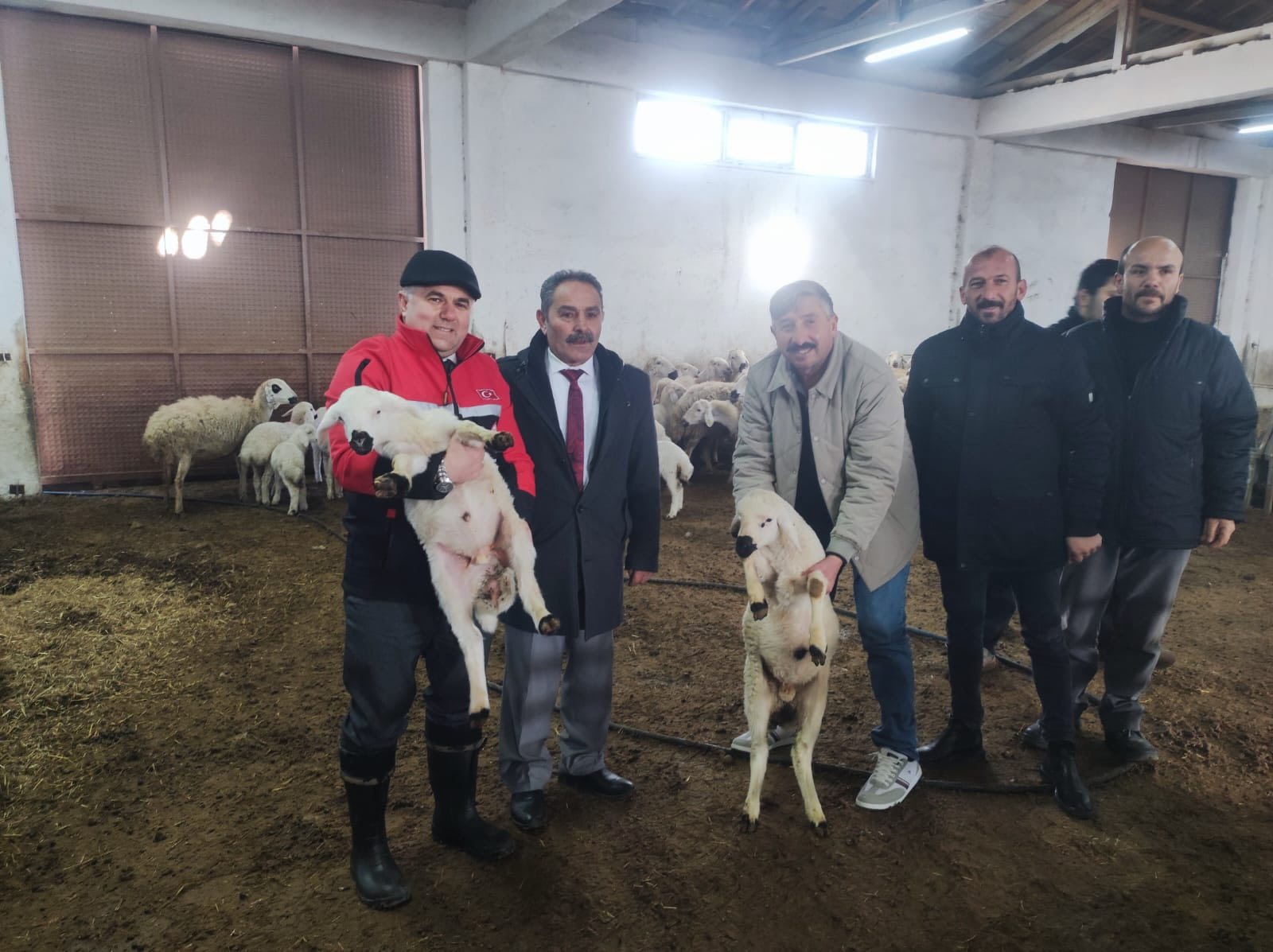 A97Ce5B6 4613 4De4 8450 Cf0Bb86Da56B