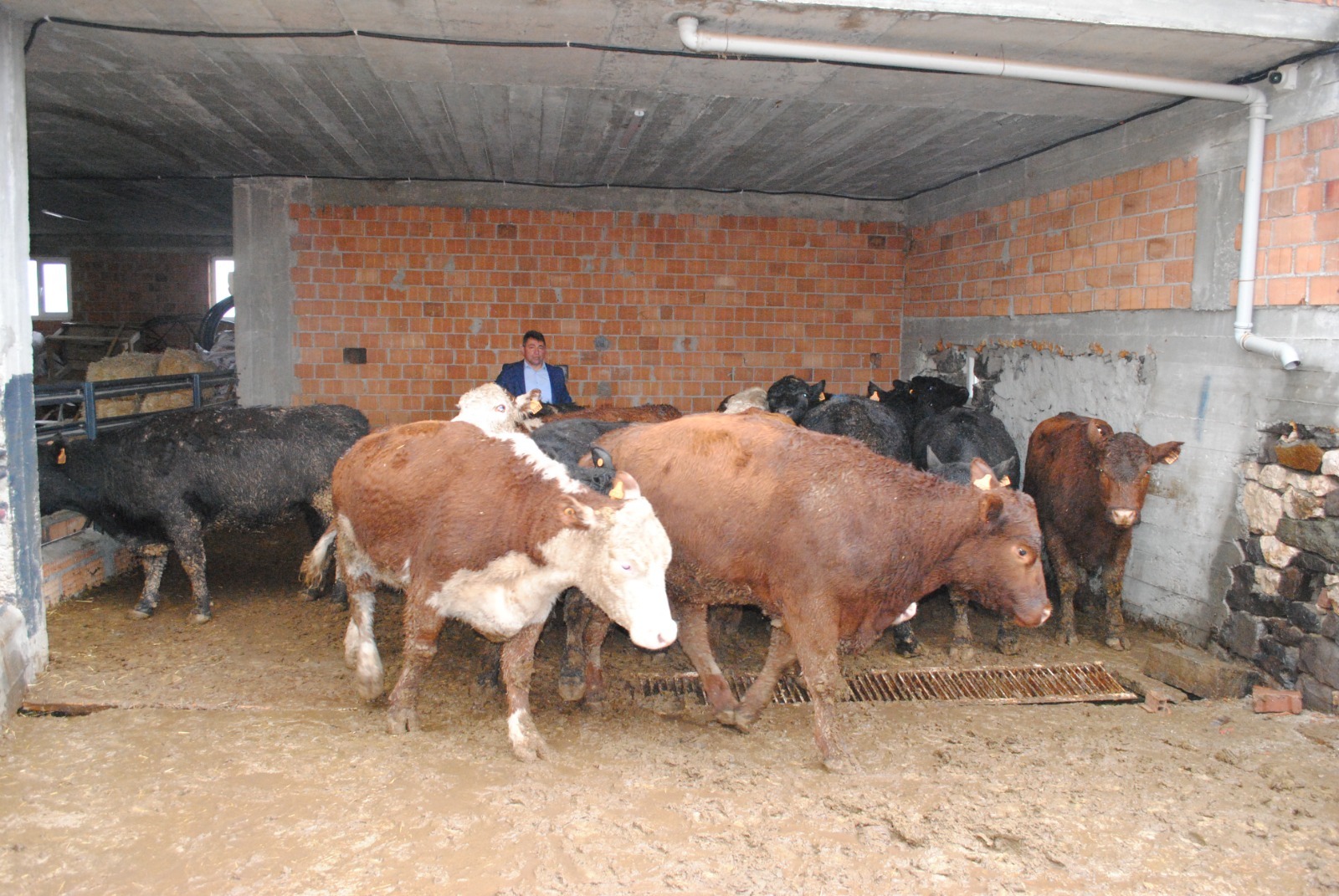 F923D123 D5A7 4E83 A8Ec C5E29F7156Ec