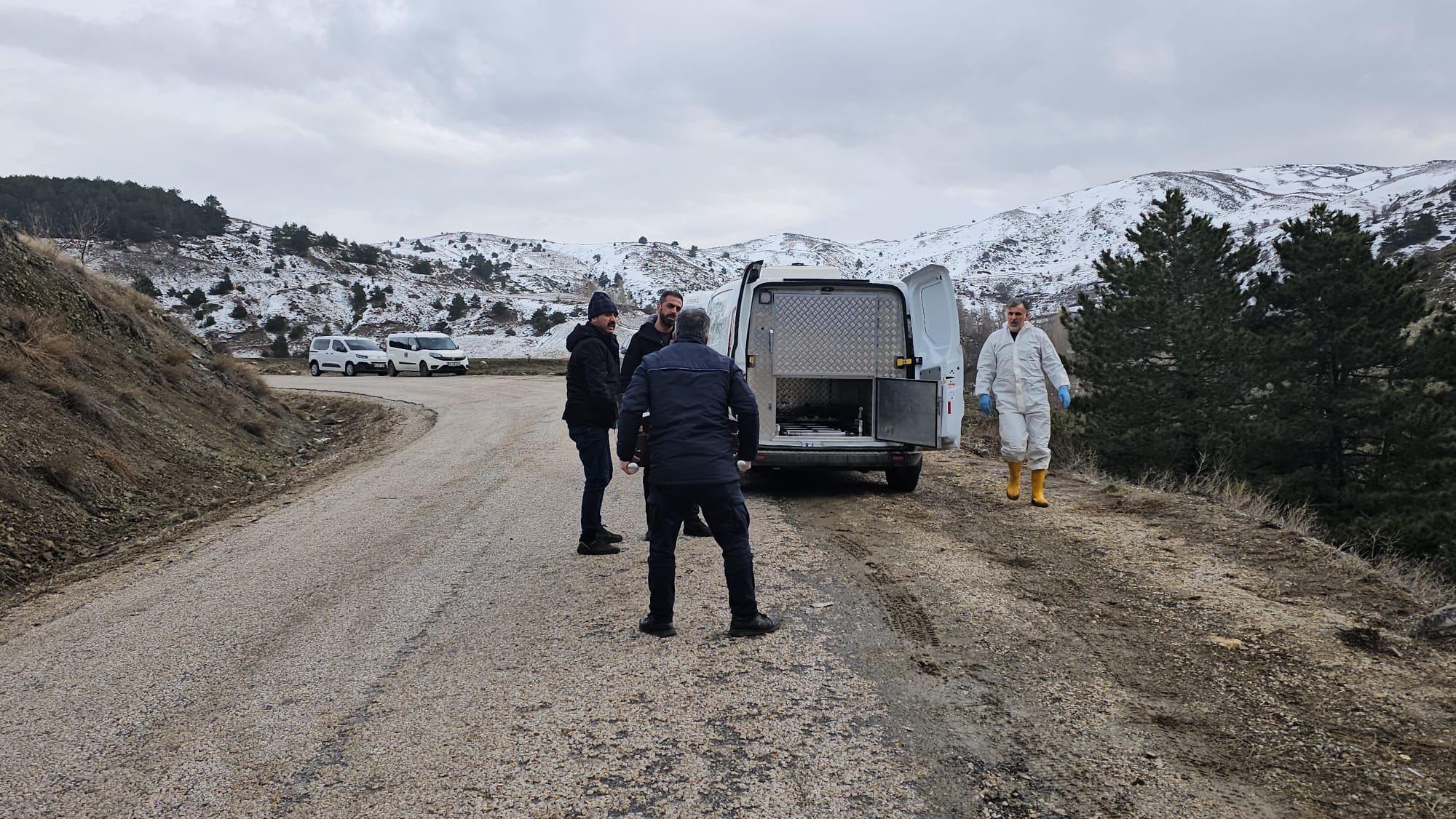 I M G 20260202 W A0015