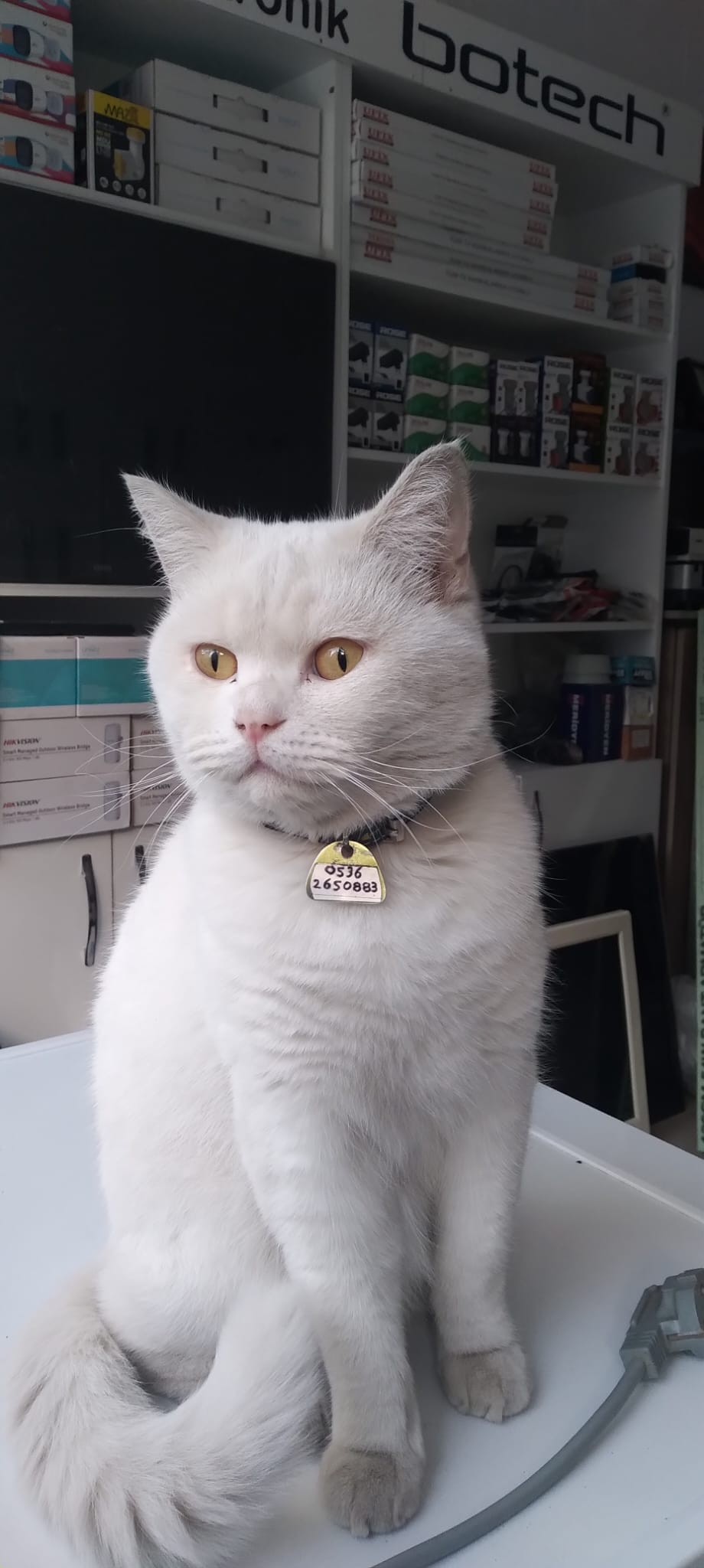 Whatsapp Image 2026 02 05 At 22.53.39