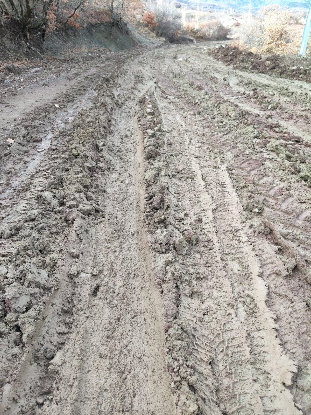 Whatsapp Image 2026 02 11 At 21.51.59