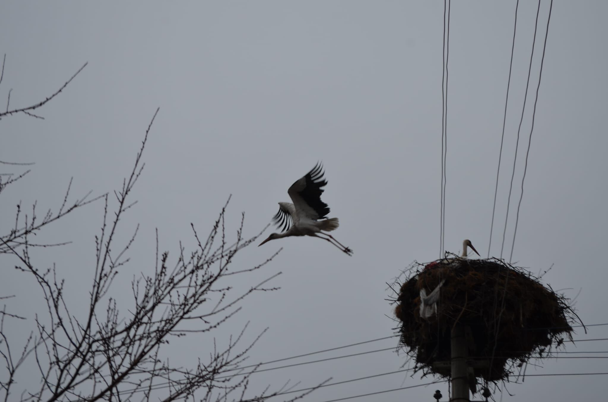 A A 20260319 40875545 40875540 C O R U M D A B A H A R I N M U J D E C I S I L E Y L E K L E R Y U V A L A R I N I Y E N I D E N S E N L E N D I R D I