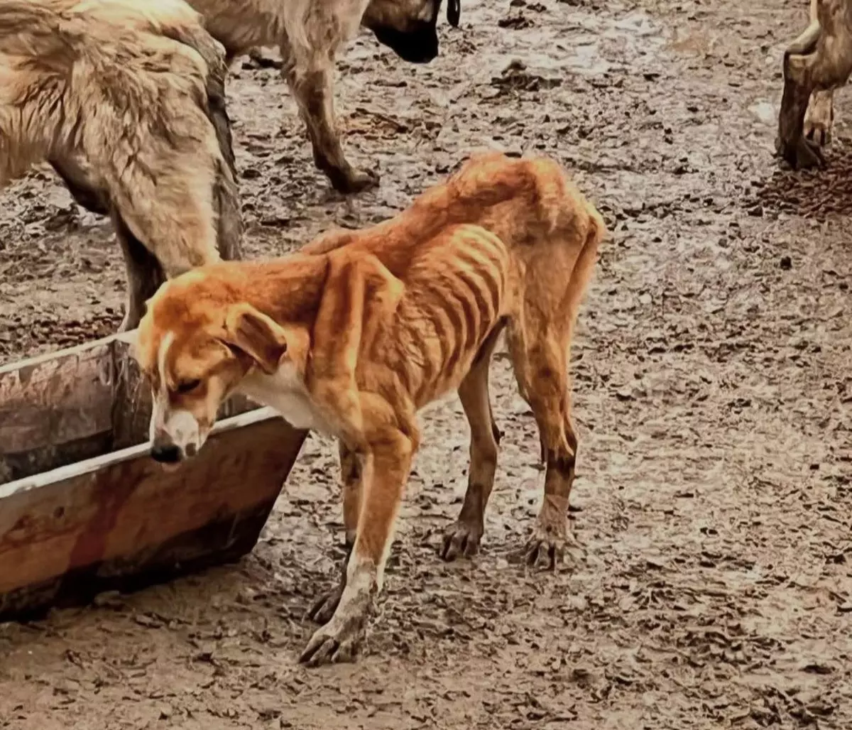 Aw67306903 310320263A6C46Ae