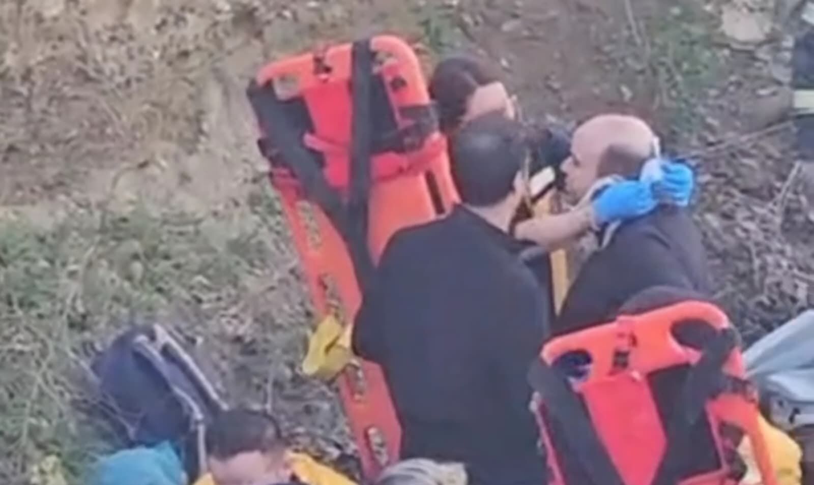 B8Fad736 C611 4379 Bb3E 9A9D3E369639