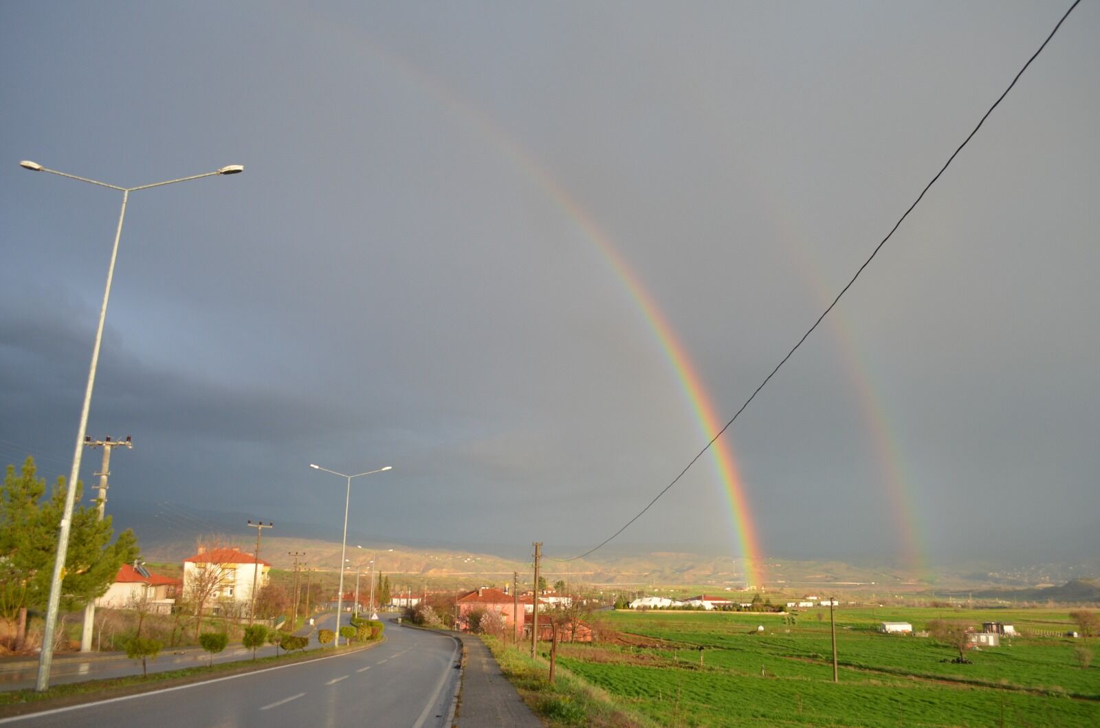 D66Afb68 D214 4701 B7Ae Ef95Cf8C3130