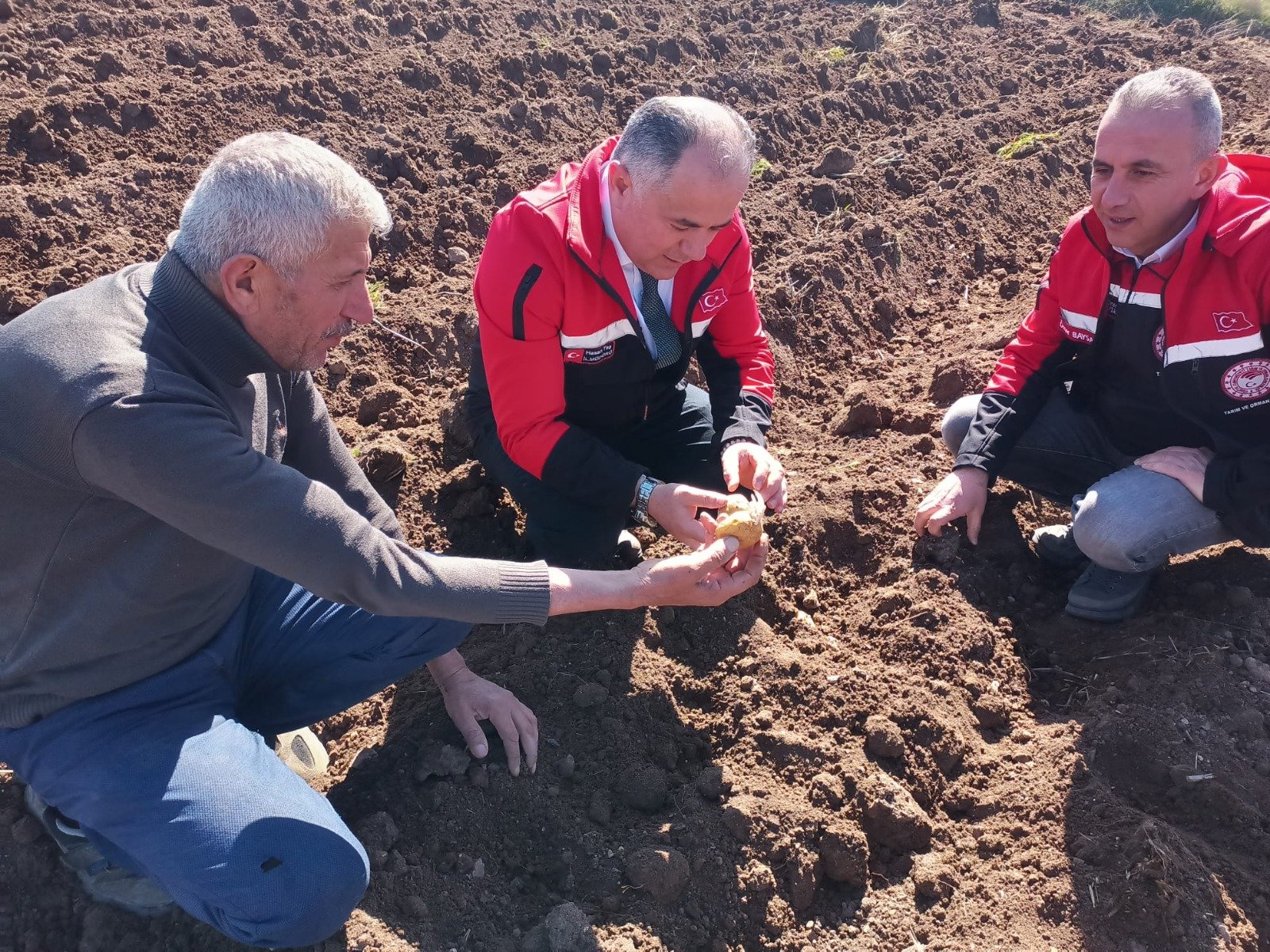 Fcfb595B 599B 4E8F Be86 B4De997D0Fed