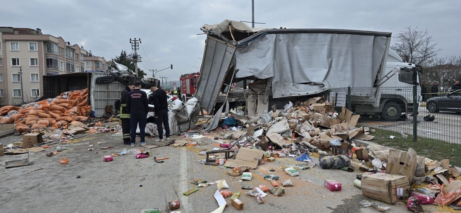 I M G 20260325 W A0005