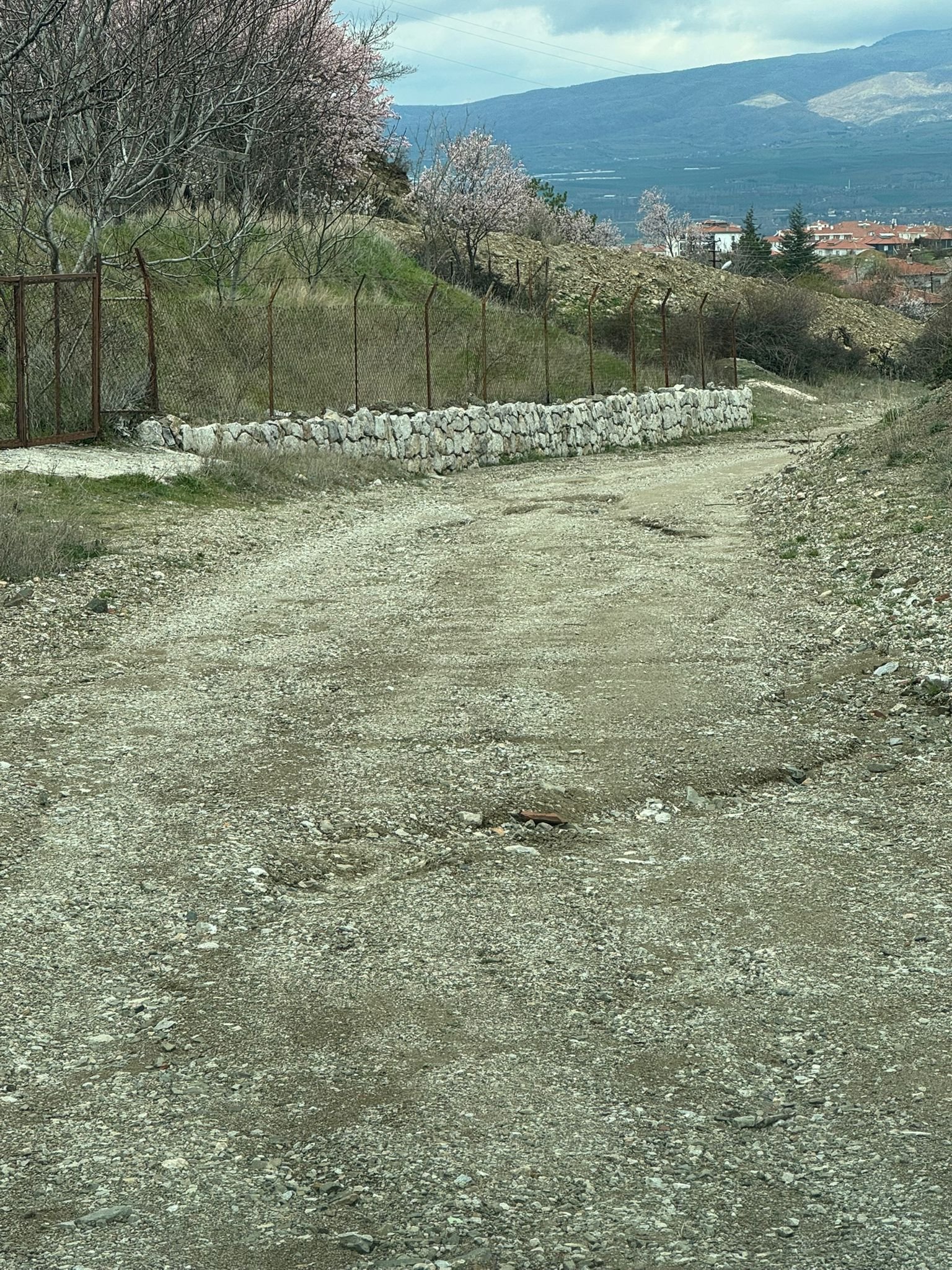 Whatsapp Image 2026 03 30 At 13.31.32