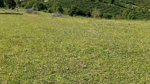 Kargı'da 2 adet taşınmaz ihale ile satılacaktır