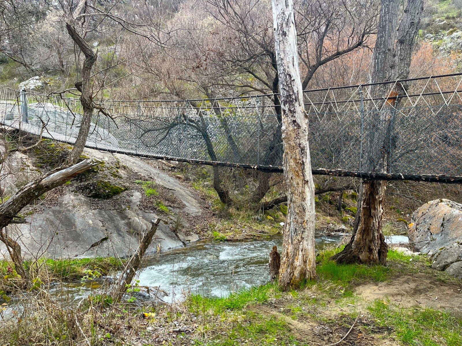 2D58F809 482C 4448 B837 93E9D8018403