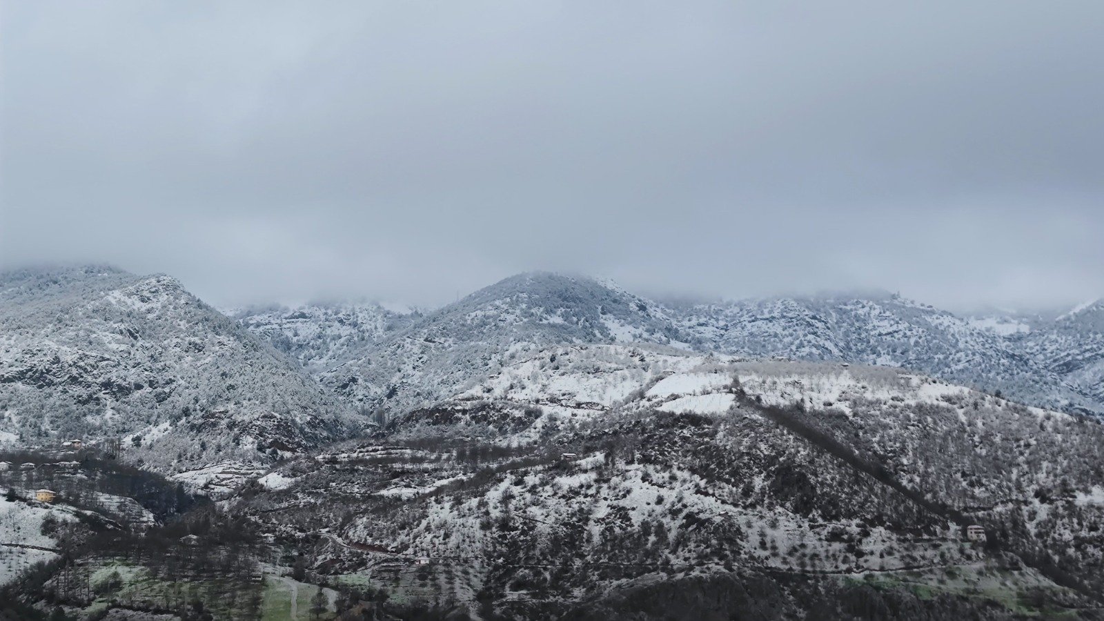 43D01Cf8 3A1C 4D33 Bbe9 A811Dcb496F9