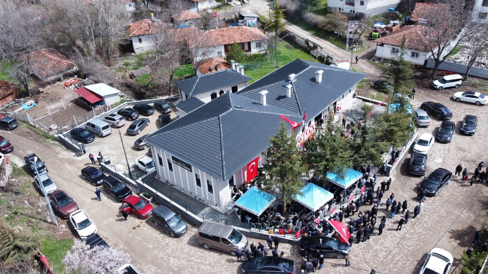 7127Adec 2548 44A2 824E F5Caaf897F31