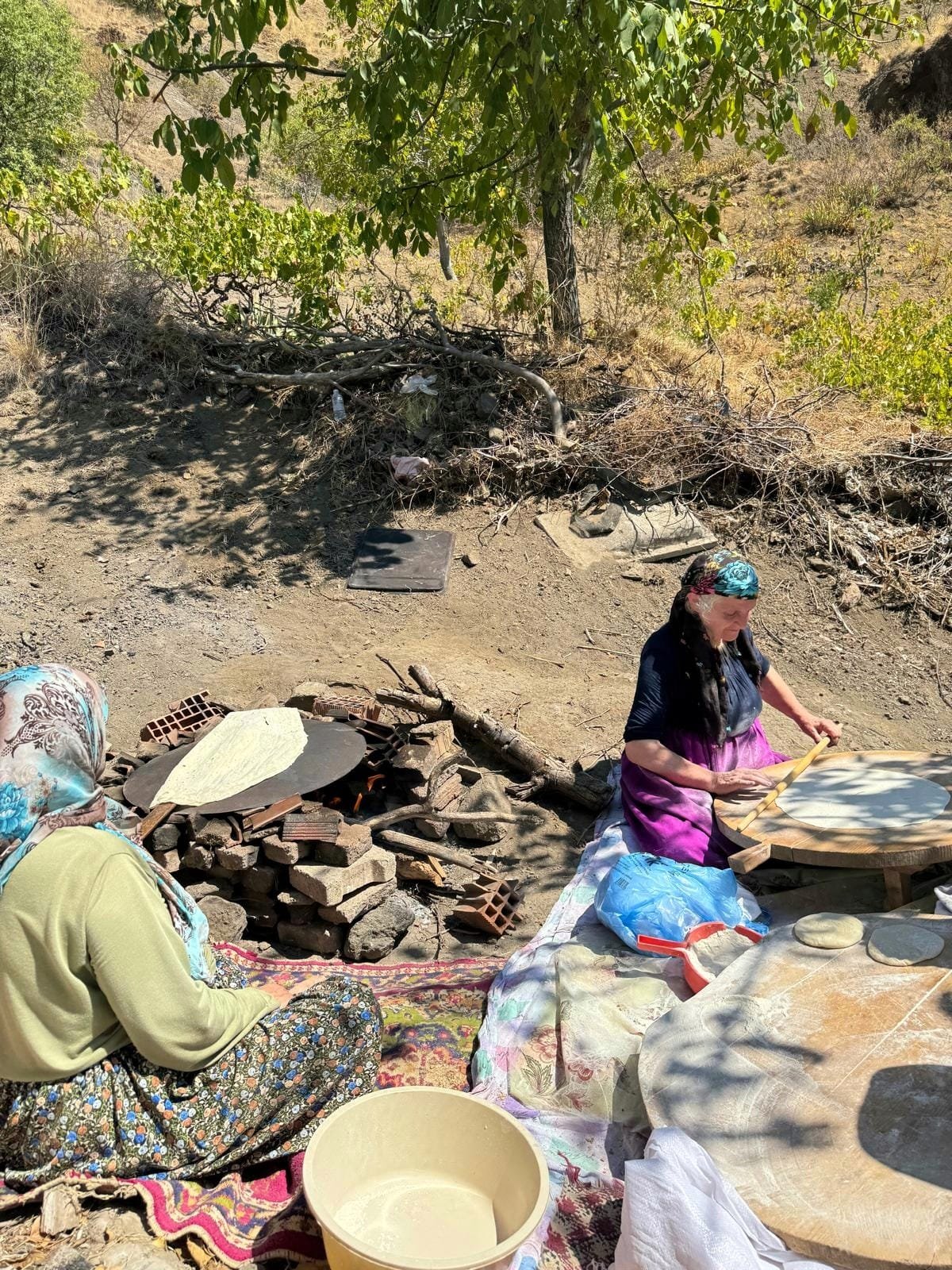 9D16D241 841F 4B65 Bee5 B6A1A0Bea078