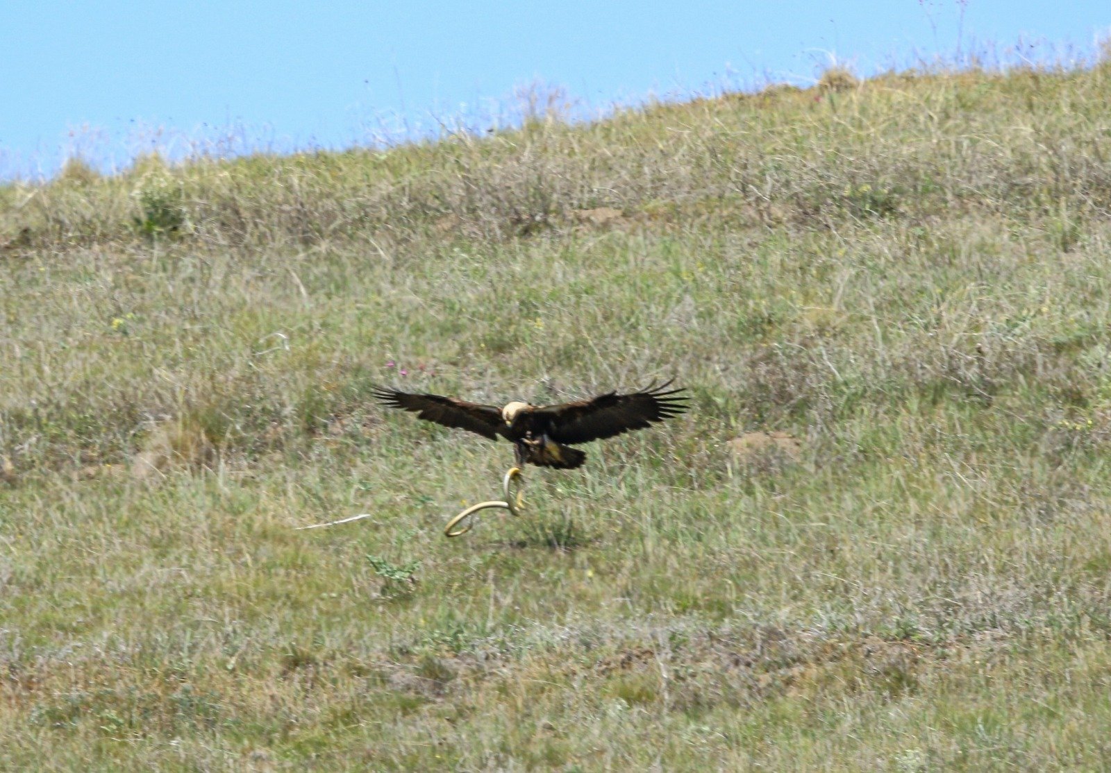 B64164D1 C2F4 4E18 B164 C6F824A8A7A7