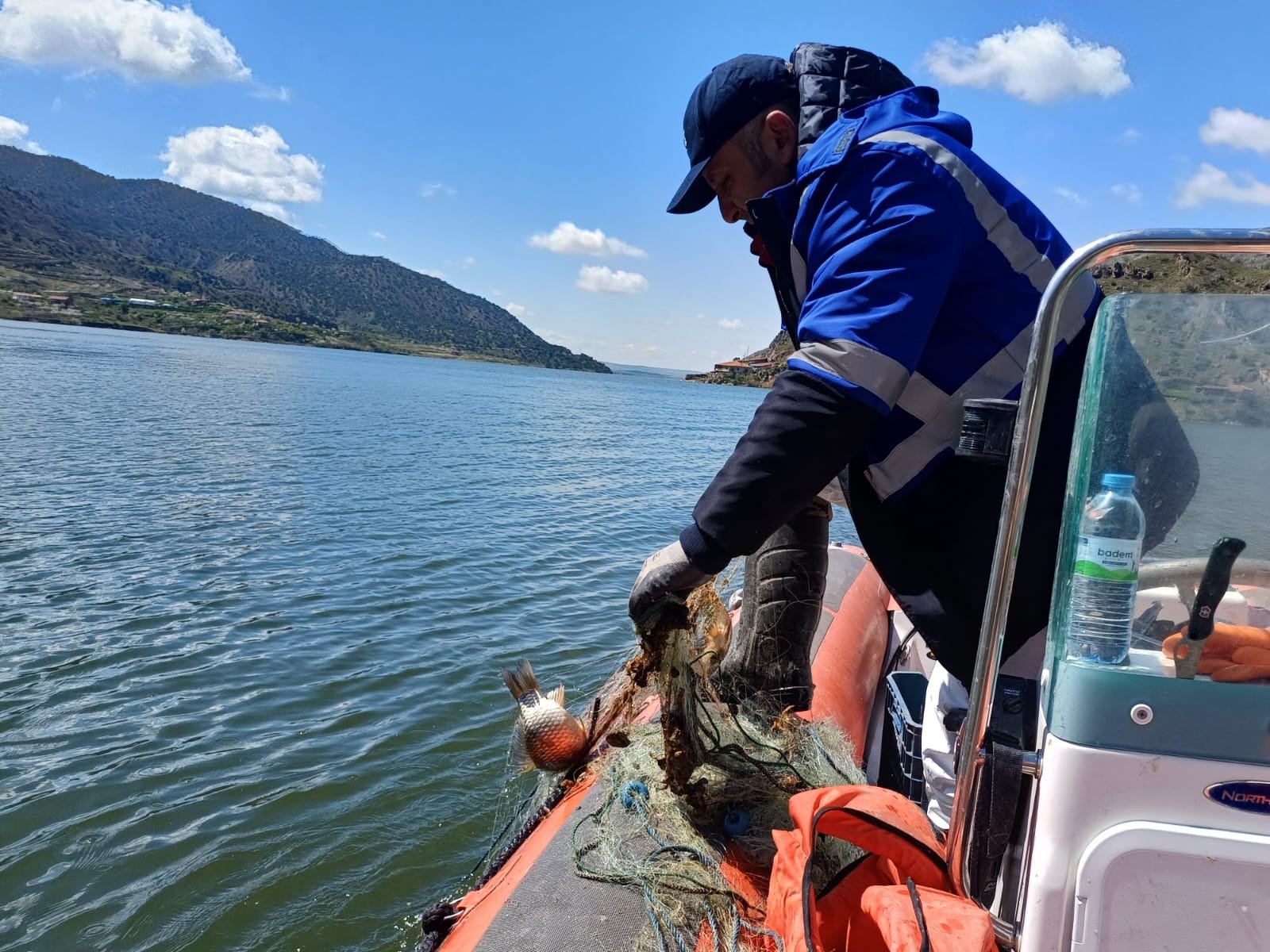 C1161468 4A50 41F6 A87E E8Dbe2Bee612