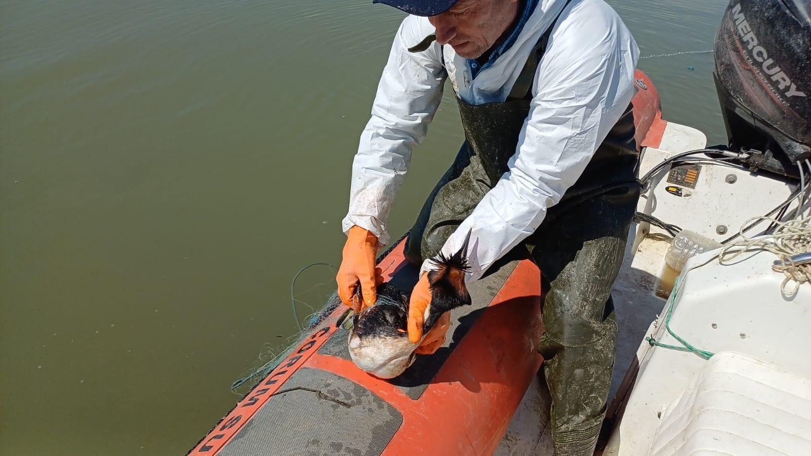 C86Ab6D4 E076 4E36 B536 9945A2D73208