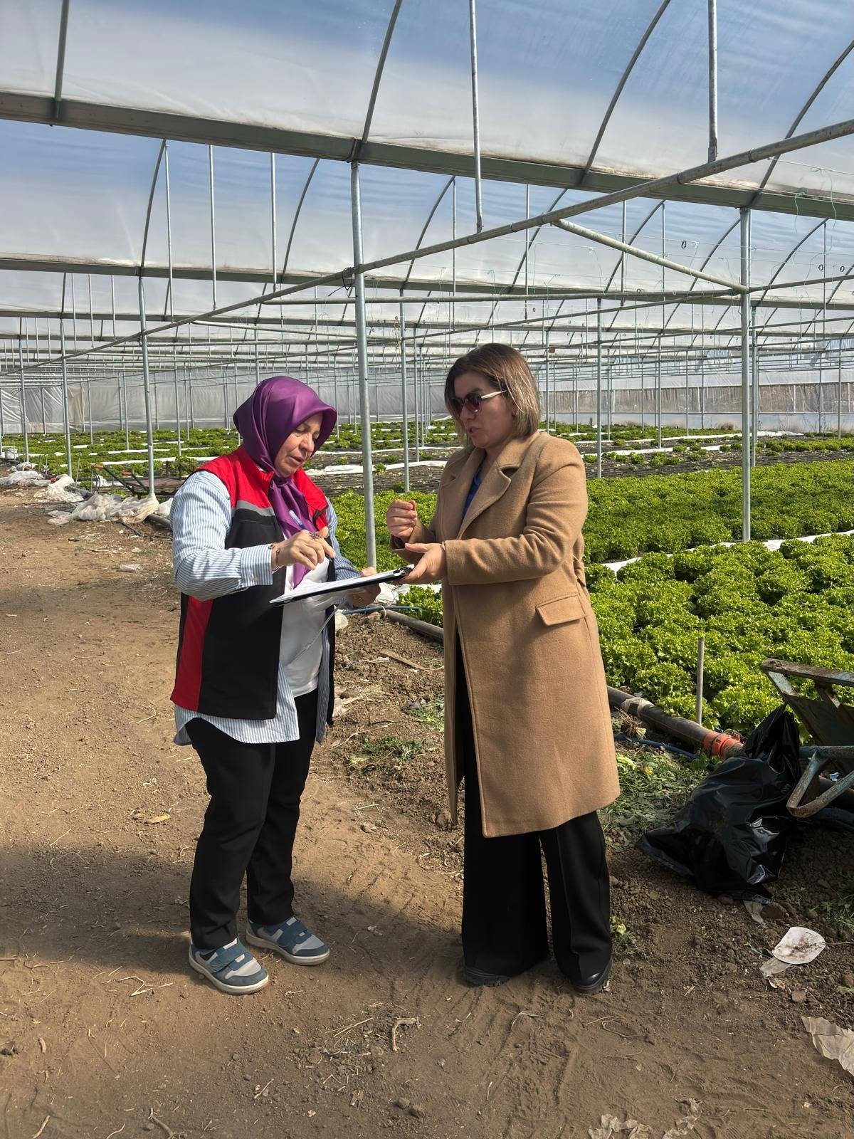 E4D84160 D9Ee 4Fe2 88Fe C91B4Bd9D802