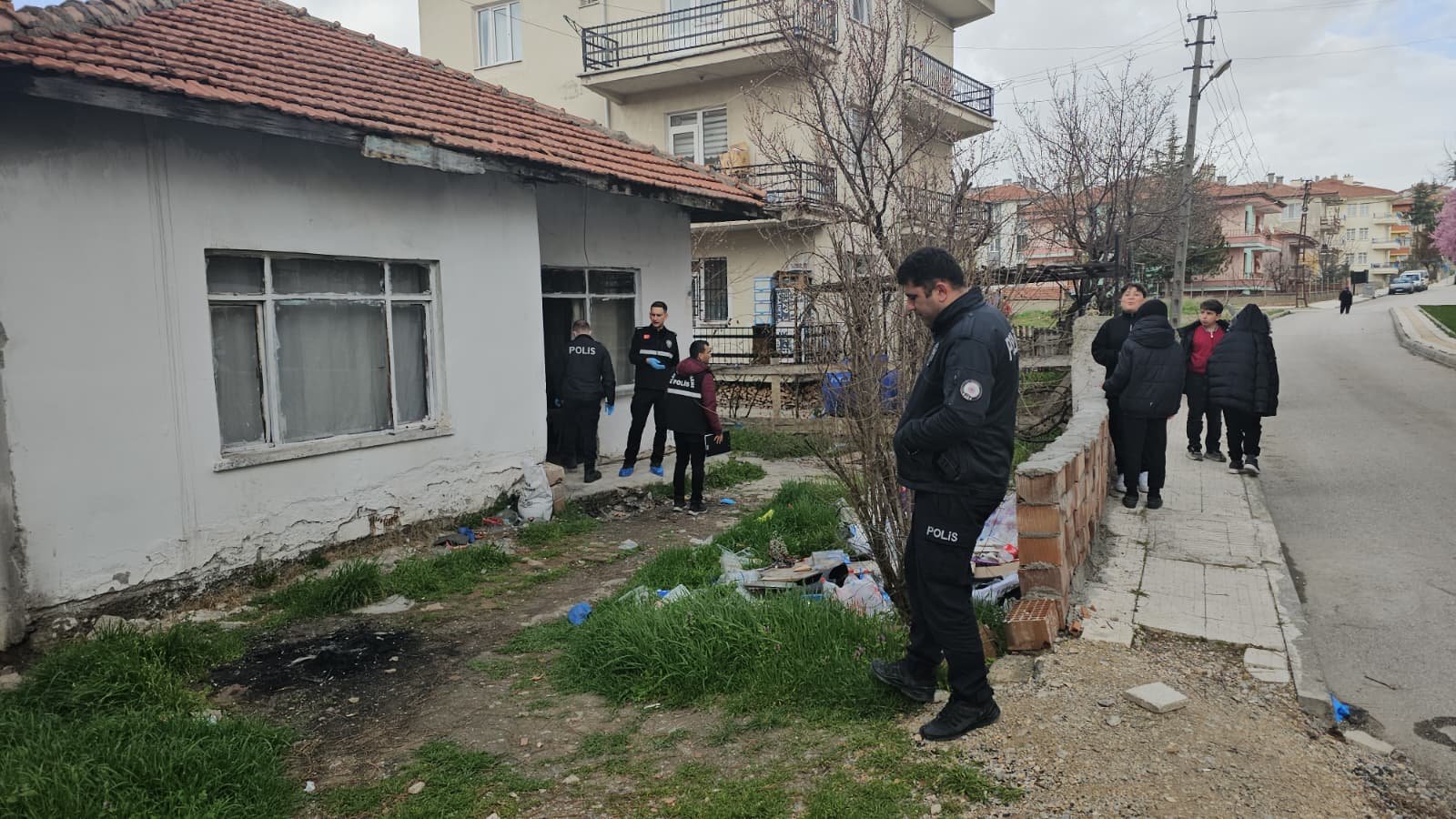 Ff9D87A0 59E6 4D5F 9859 651E37Ceae72