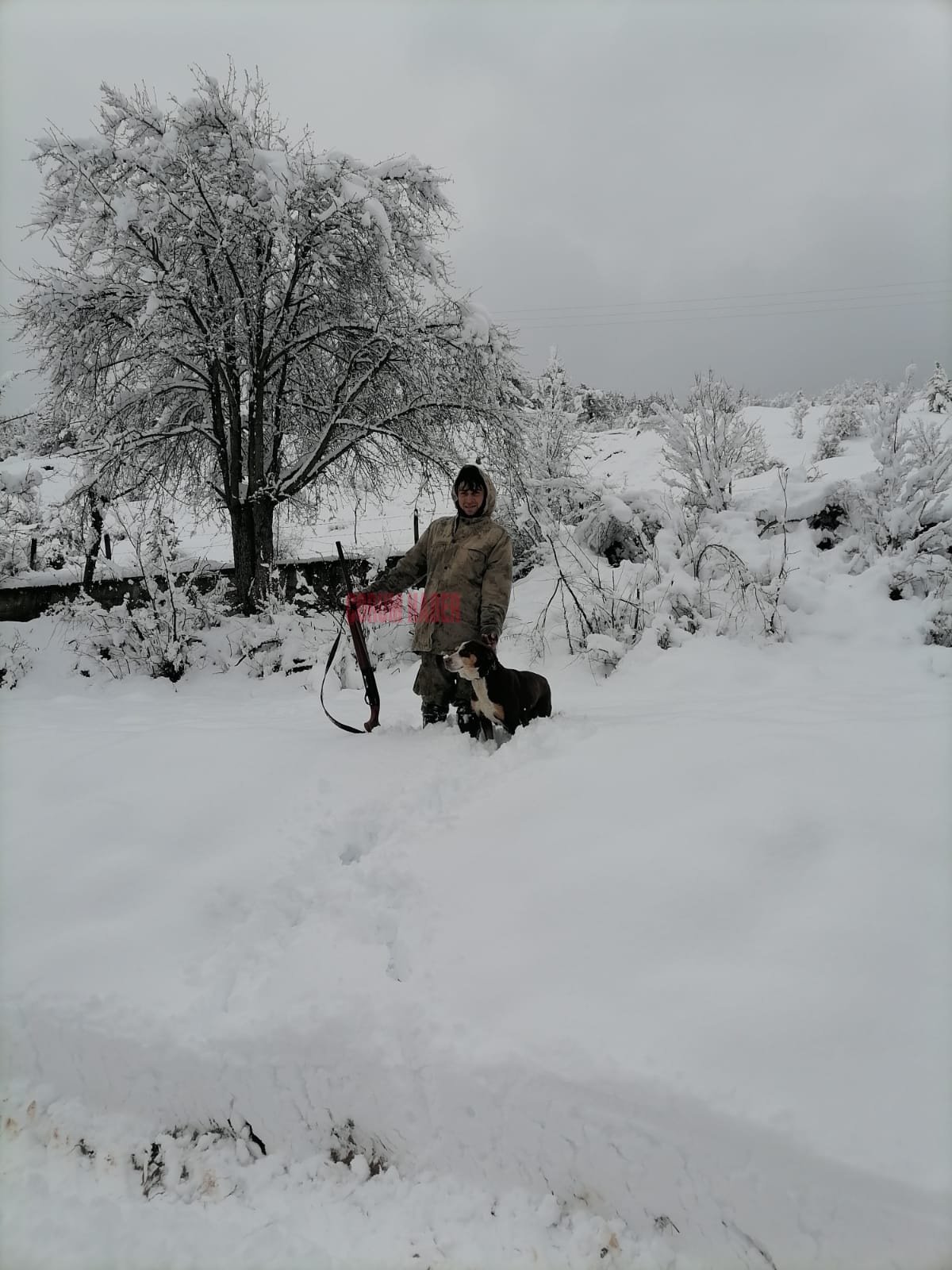 Whatsapp Image 2026 04 11 At 11.13.49