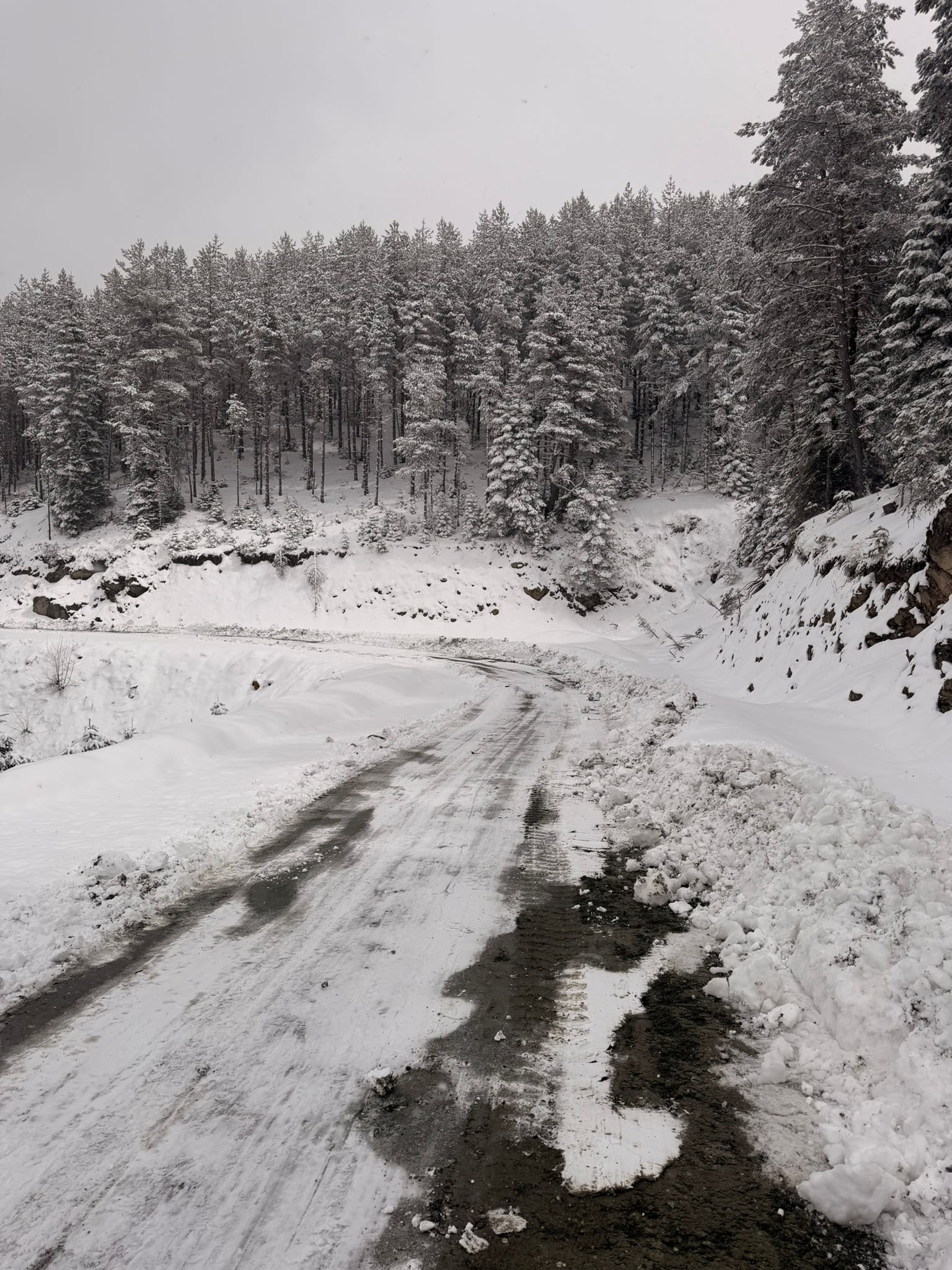 Whatsapp Image 2026 04 11 At 14.29.29