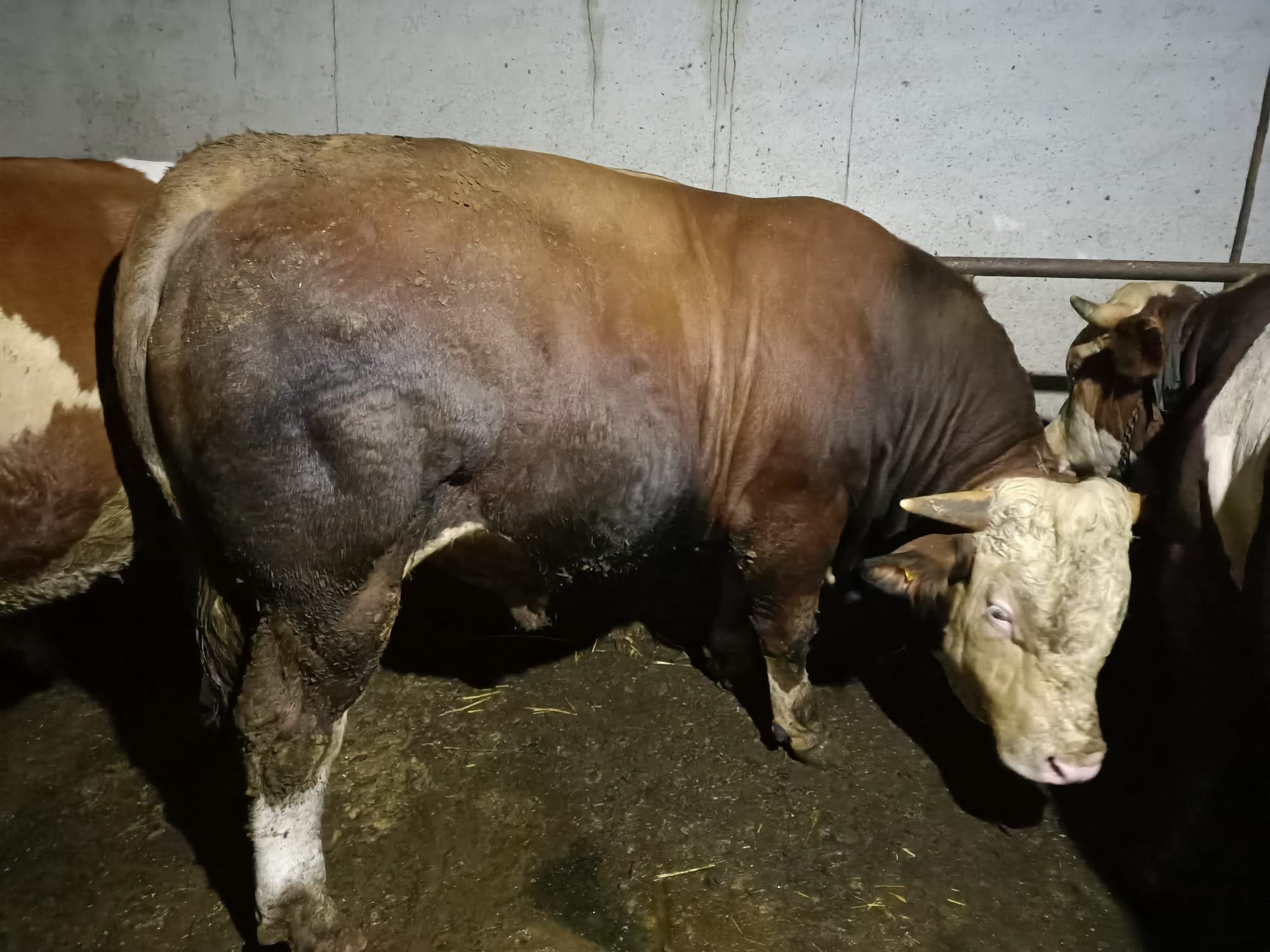 Whatsapp Image 2026 04 15 At 16.00.26