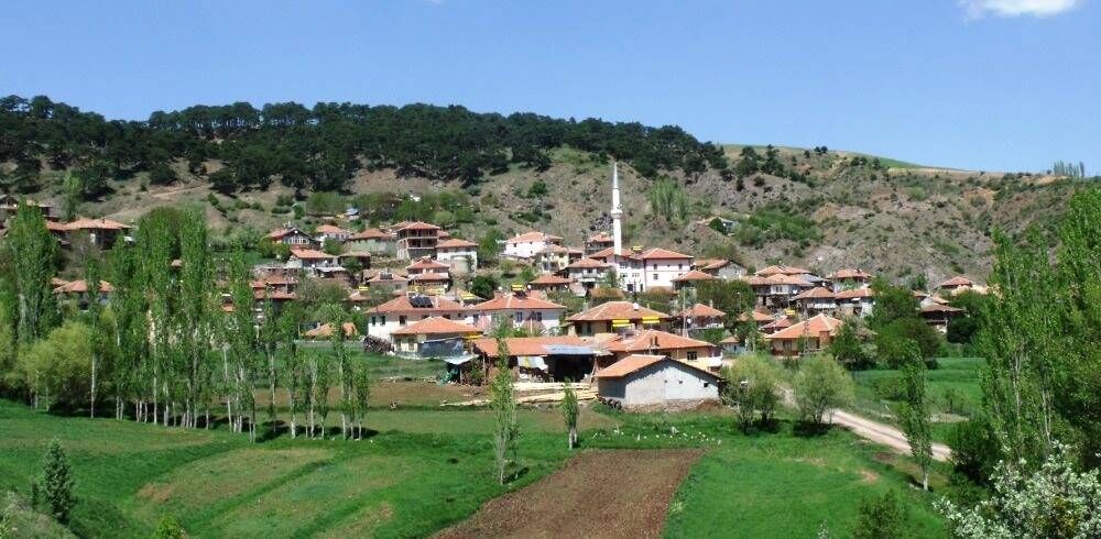 Çorum'da 2 köyde hazine arazileri satışa çıktı! İşte o köyler