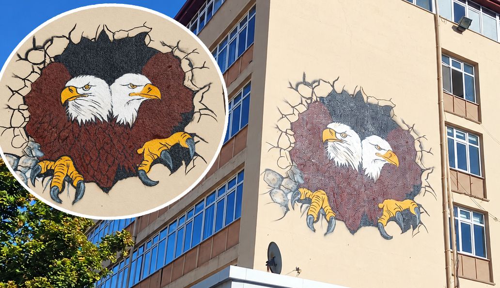 Çift başlı kartal resmi büyük beğeni topladı