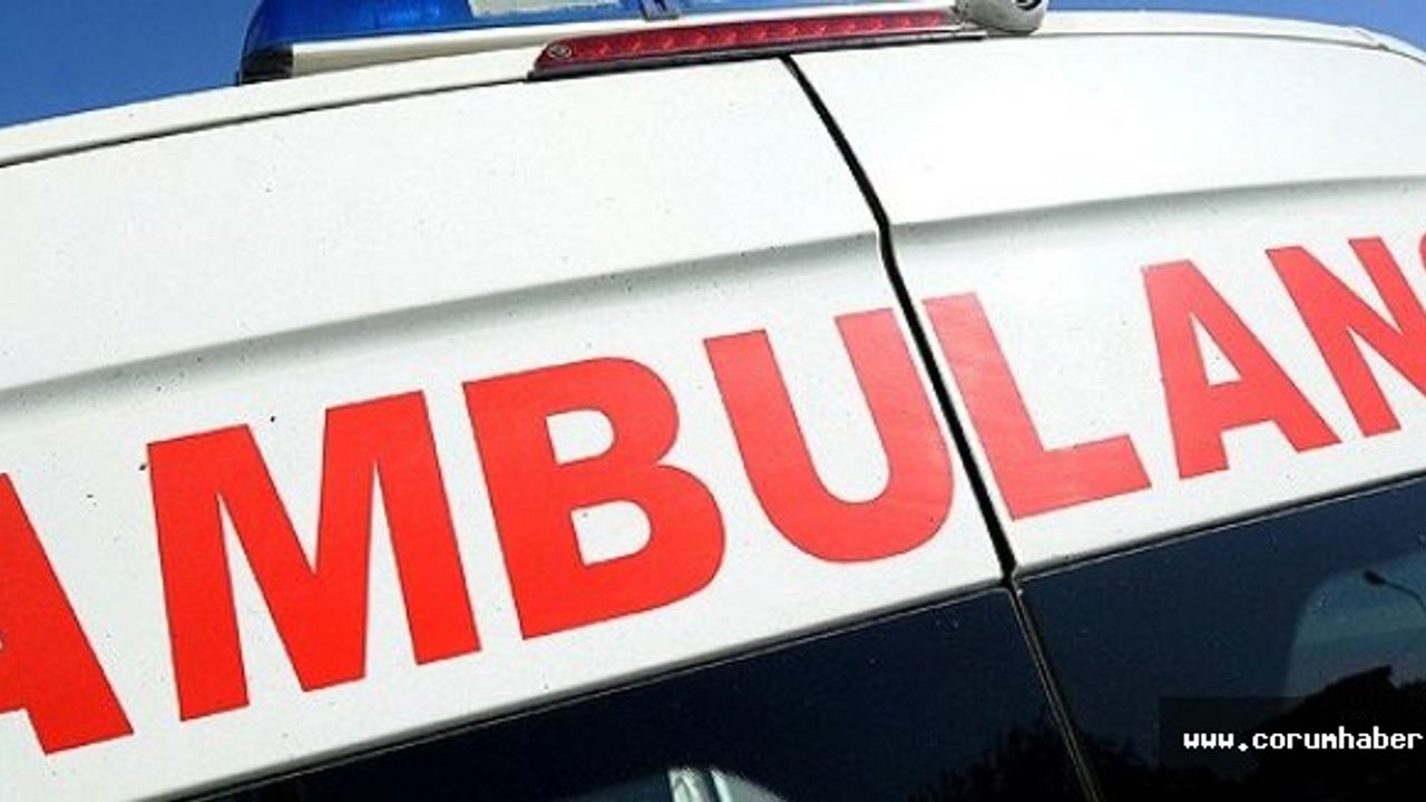Yaşlı kadın evinde ölü bulundu
