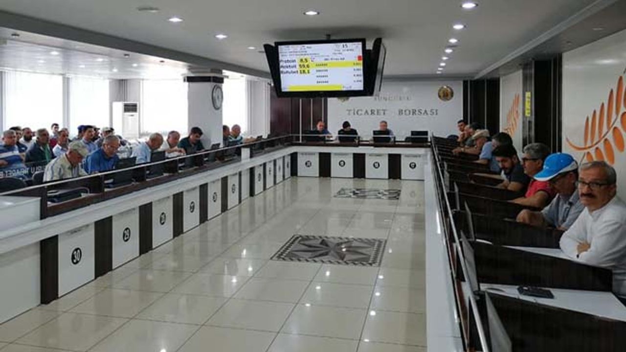 Sungurlu'da ilk arpa ürünü borsaya geldi