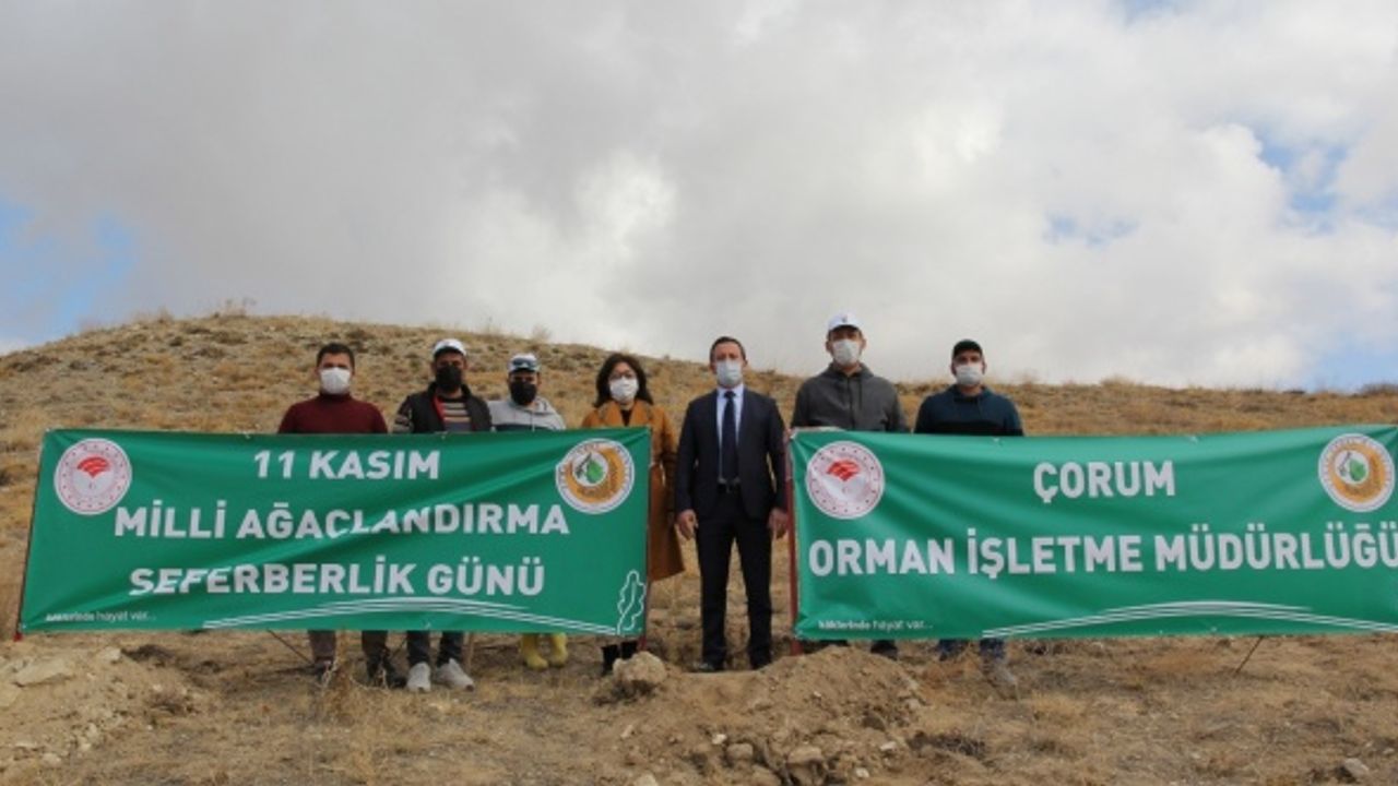 Sungurlu’da 500 fidan toprakla buluştu