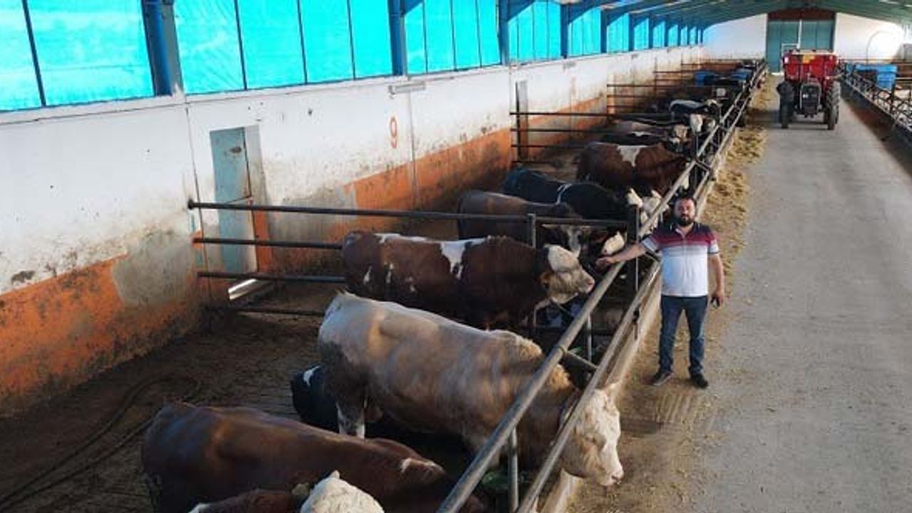 TKDK verdi, kendi besi çiftliğini kurdu