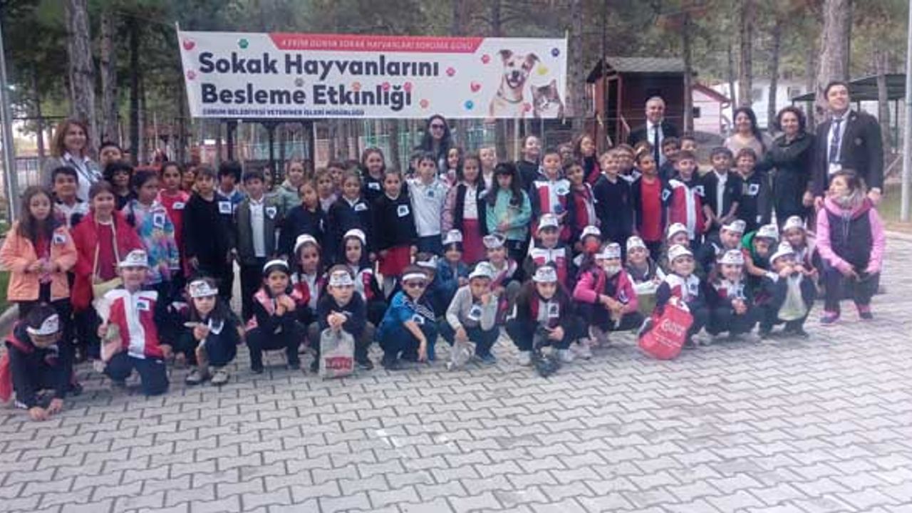 Öğrencilerden evcil hayvan parkına yoğun ilgi