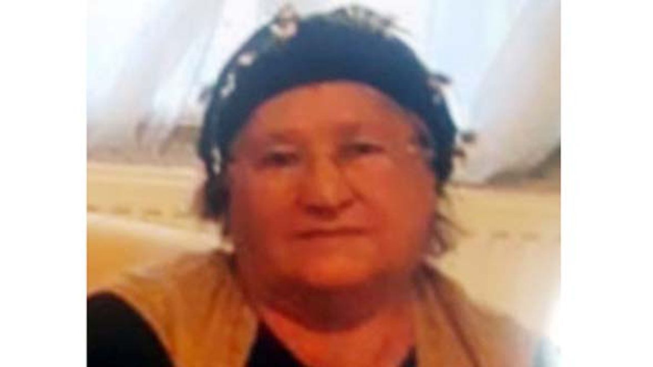 Gülfiraz Karaman vefat etti