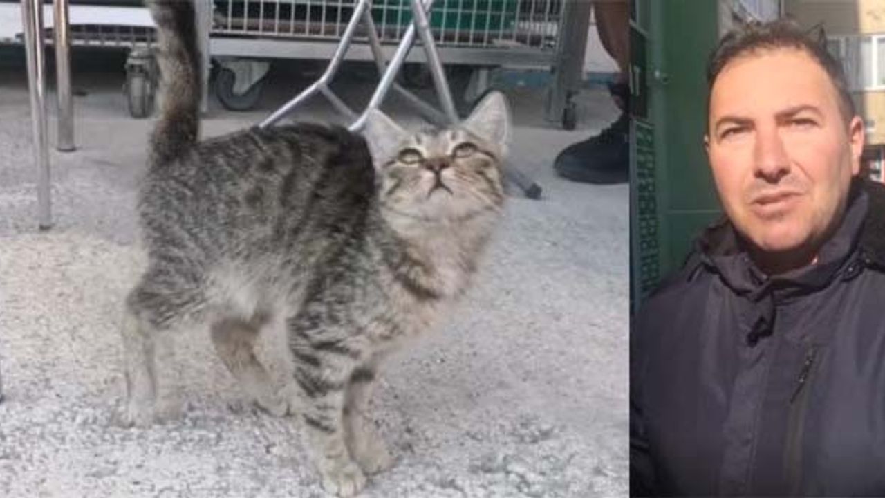 Boğulma tehlikesi geçiren kedi yavrusunu esnaf kurtardı