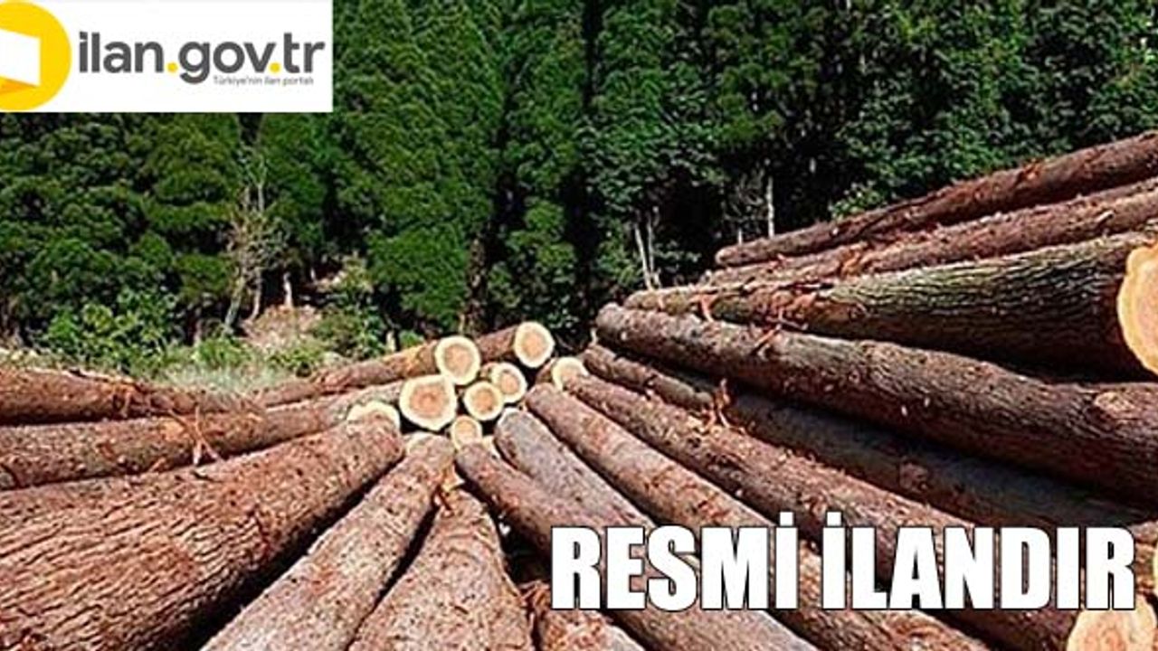 İskilip Orman İşletme Müdürlüğü Muhtelif Şeflikleri 2023 yılı mesaha danışmanlık hizmet alım işi