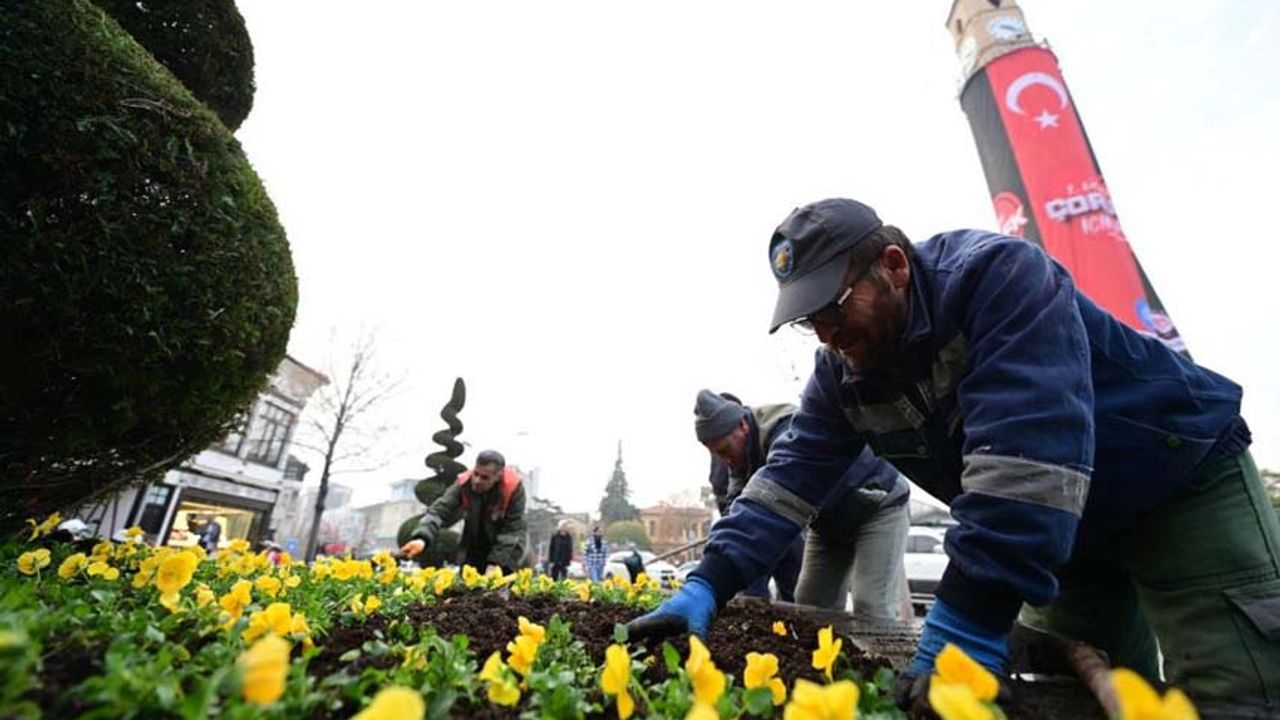 Belediye, şehri lale ve sümbüllerle donattı