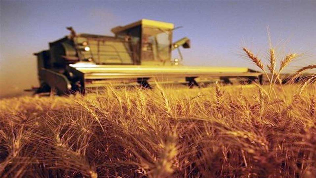 Tarım-GFE yıllık yüzde 49,70 arttı  
