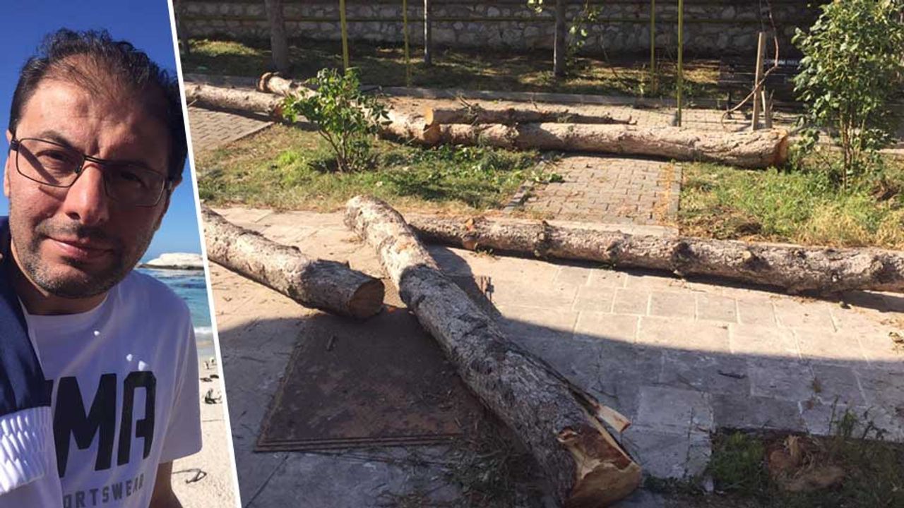 Tarihi Camii’de ağaç kesilmesine tepki gösterildi