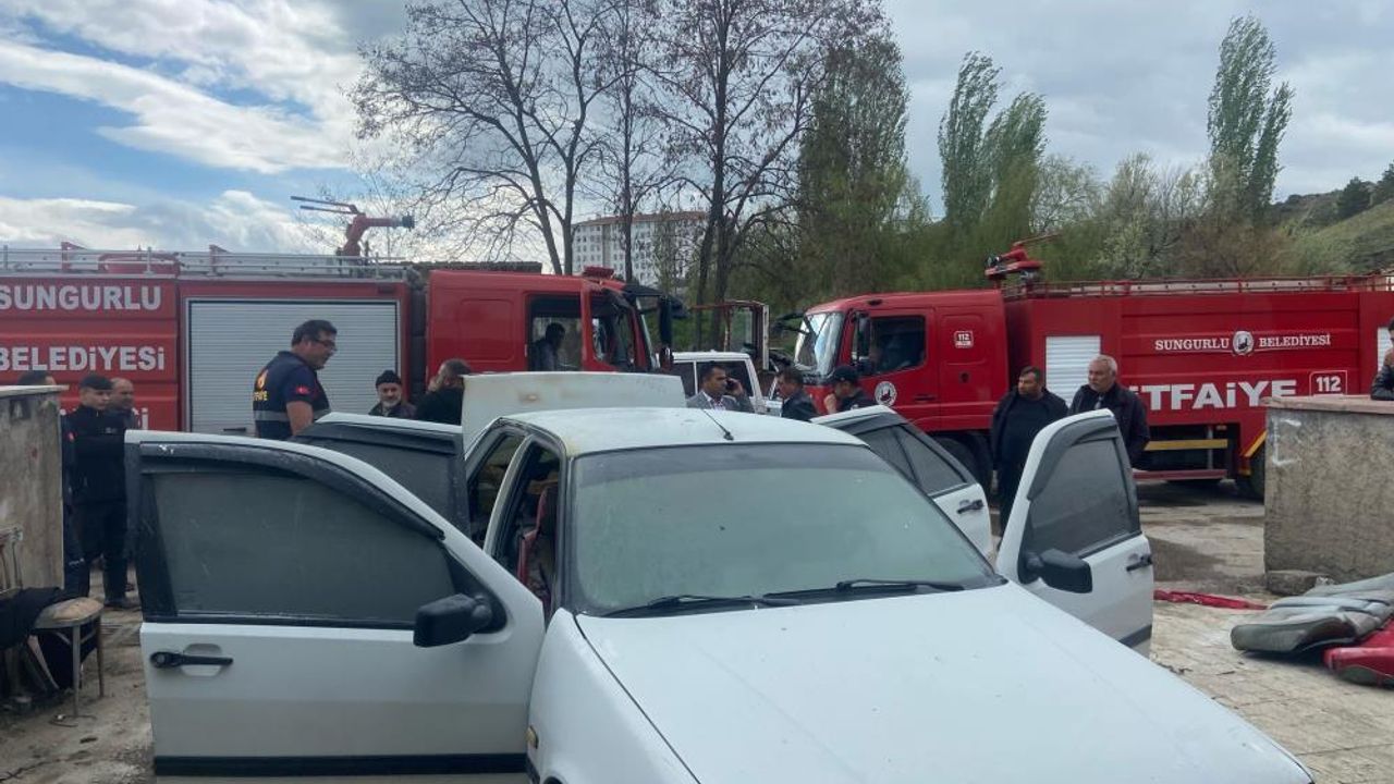 Park halineki araçta çıkan yangın büyümeden söndürüldü