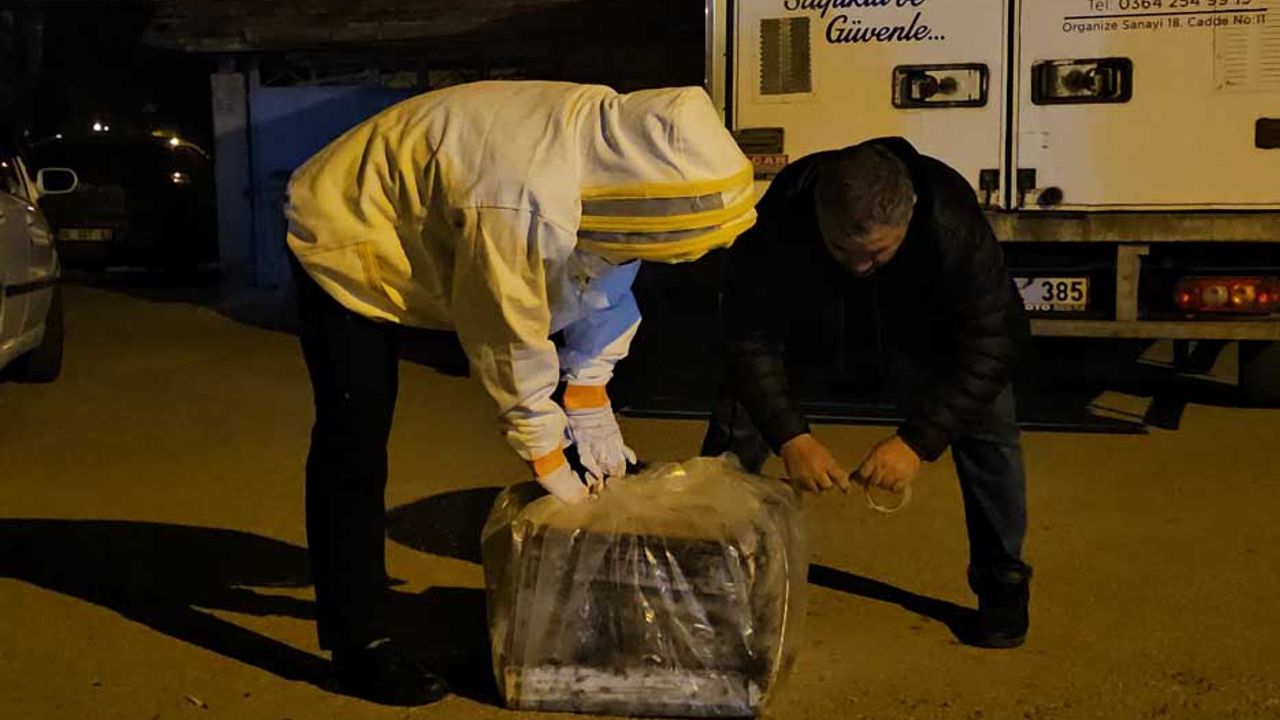 Yola düşen kovanlarda bulunan arılar zor anlar yaşattı
