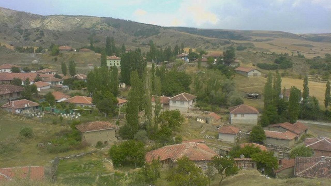 Çorum'da 13 köyde hazine arazileri satışa çıktı! İşte o köyler