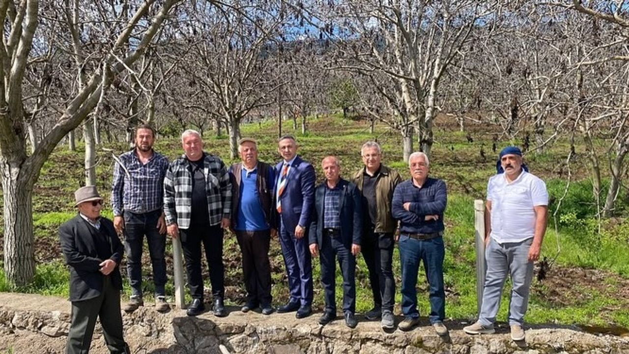 “Ceviz üreticileri  mutsuz ve endişeli”