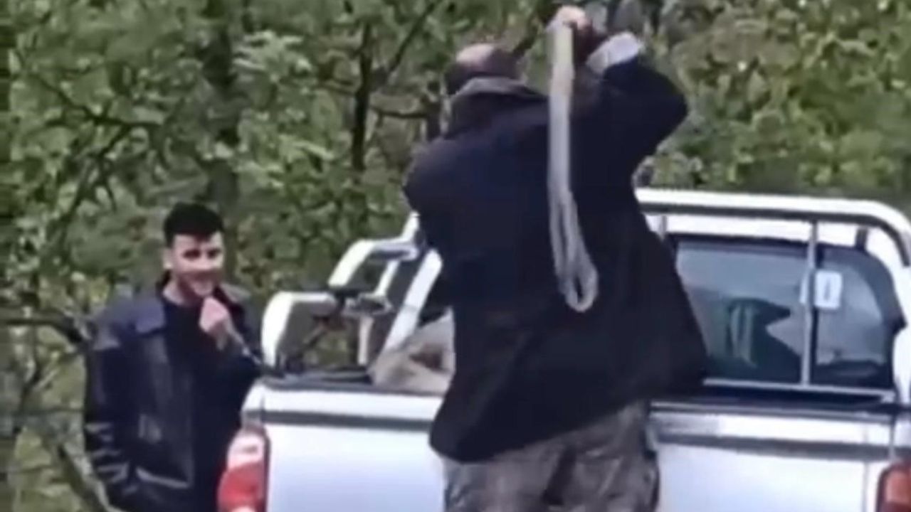 Köpeğe halatla şiddet