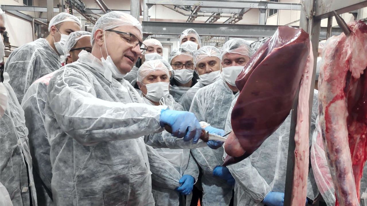 Halk Et, veteriner hekim eğitimine ev sahipliği yaptı