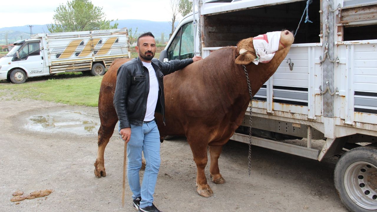 Paşa'nın fiyatı dudak uçuklattı