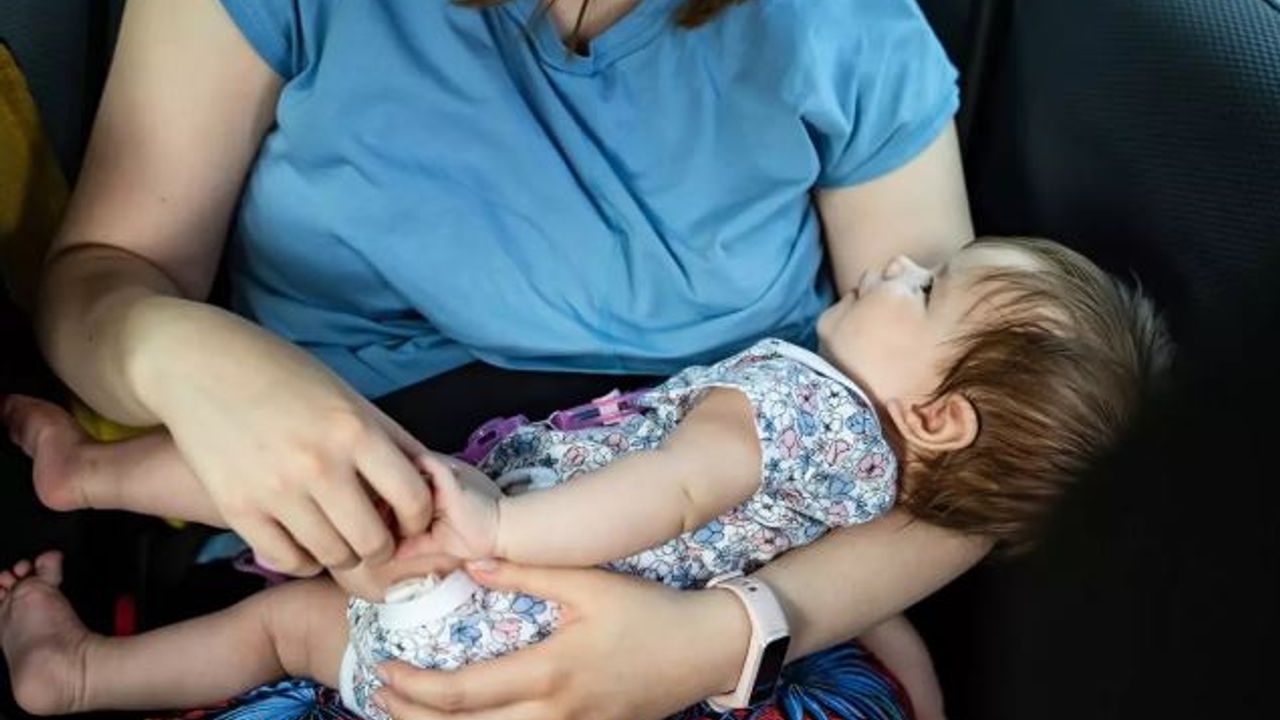 Bir bebek kanguru  modeli toplanacak